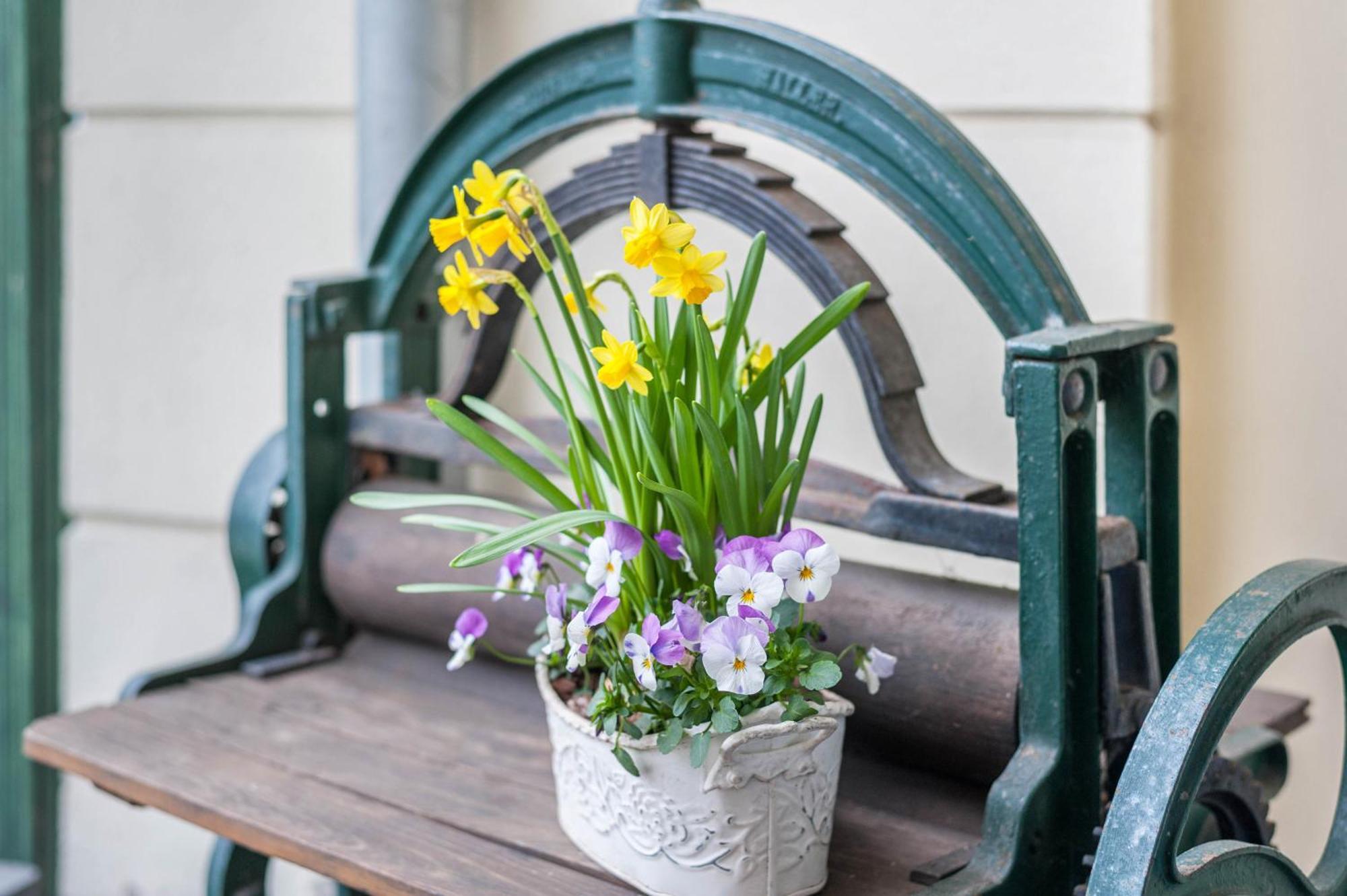 Apartment Abendrot Ostseebad Kühlungsborn エクステリア 写真